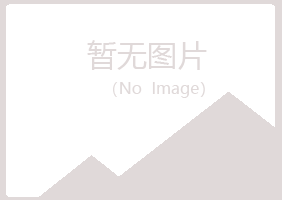 四平夏岚能源有限公司